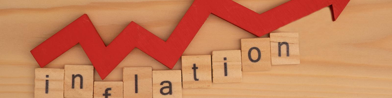 Les fondamentaux de l'inflation : Maîtrisez les clés de l'analyse économique et financière