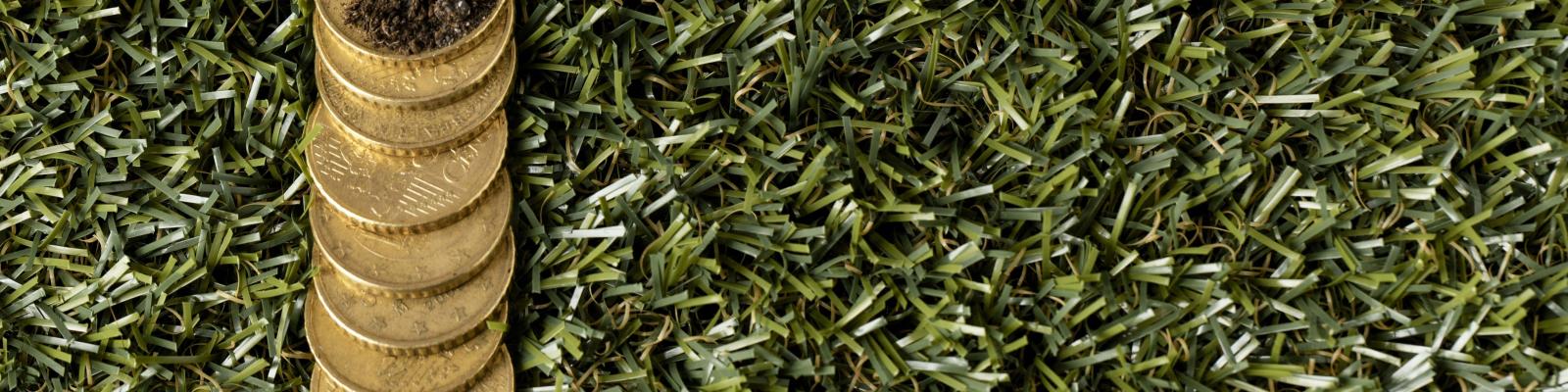 Vermogensopbouw met levensverzekeringen