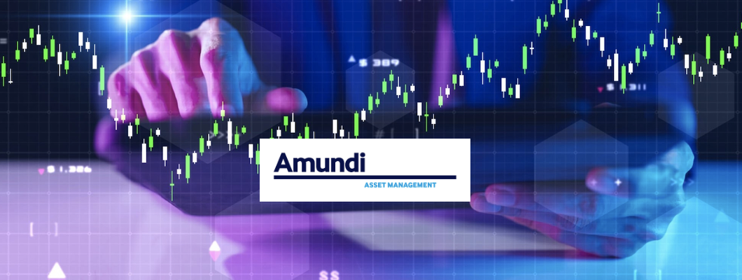 La gestion alternative : définition et analyse