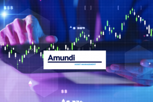 La gestion alternative : définition et analyse