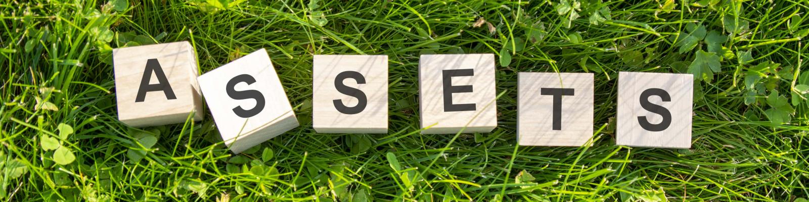 Schroders Capital - Waarom private assets in elke portefeuille thuishoren