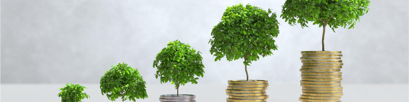 Investissements actifs et/ou passifs ? Et qu'en est il des investissements alternatifs?