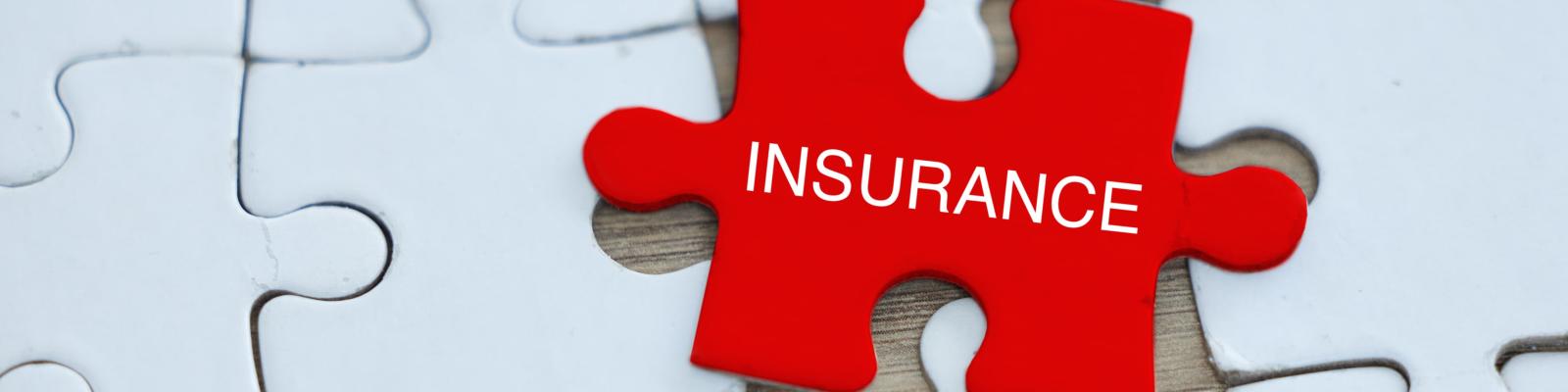 Bijstandverzekeringen: vele oplossingen voor vele problemen?