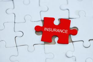 Bijstandverzekeringen: vele oplossingen voor vele problemen?