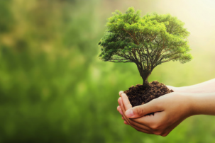 Towards sustainable investments