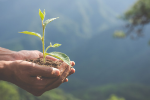 Sustainability: not just a trend but a game changer